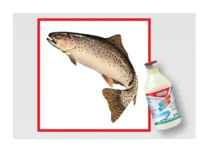 تصویر شماره 1 محصول 