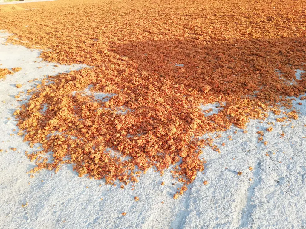 تصویر شماره 4 محصول 