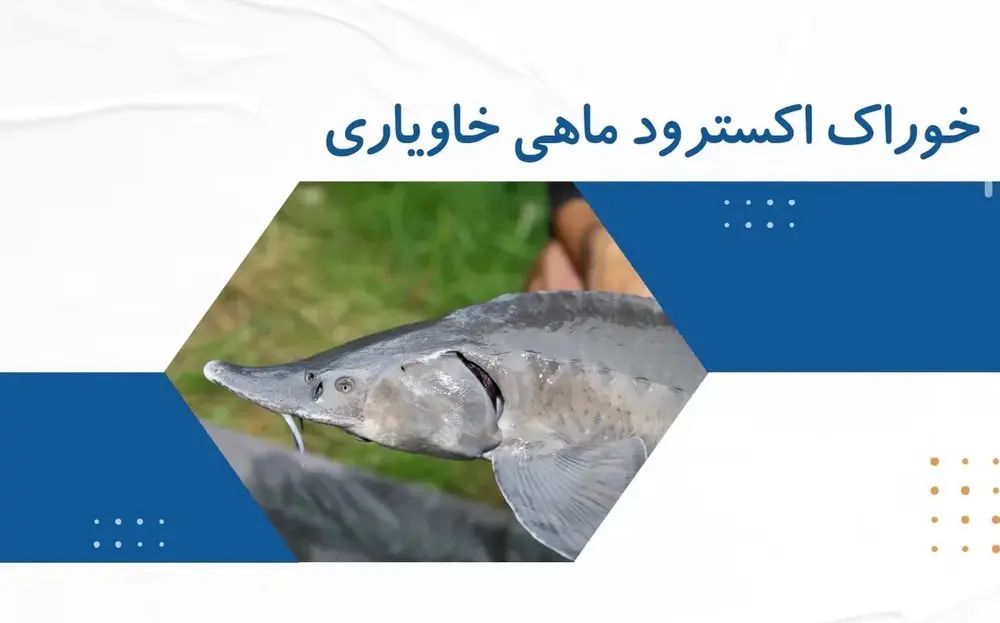 تصویر شماره 1 محصول 