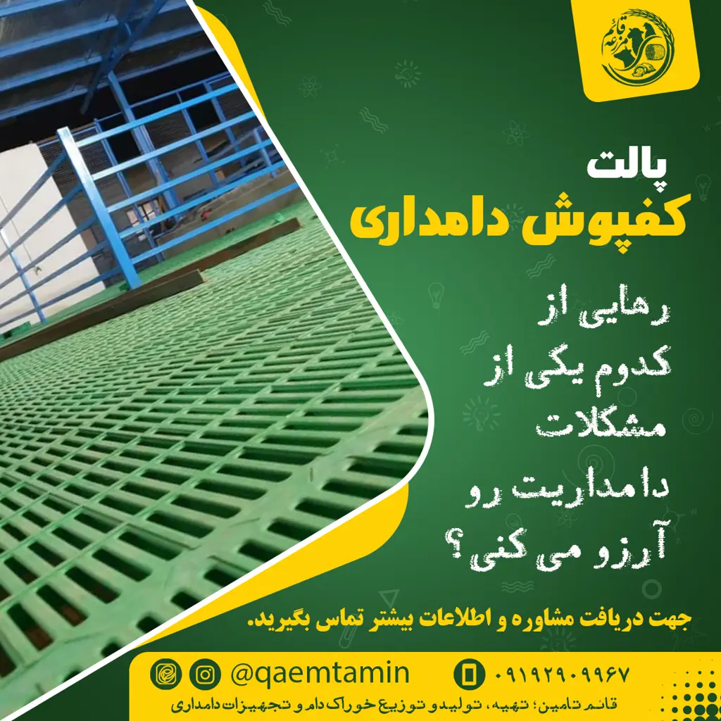 تصویر شماره 2 محصول 