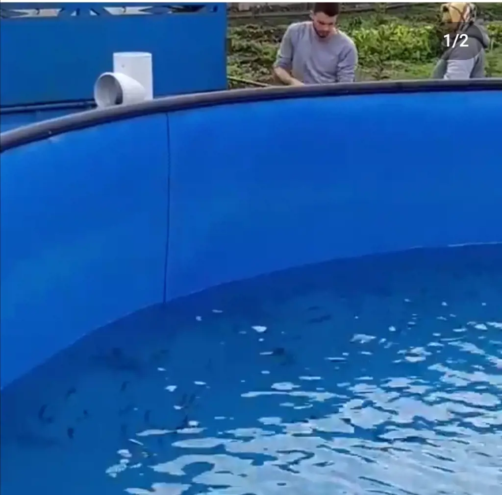 تصویر شماره 2 محصول 