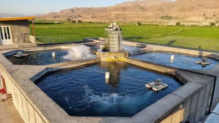 تصویر شماره 1 محصول 