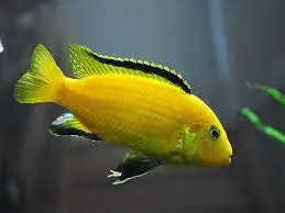 تصویر شماره 1 محصول 