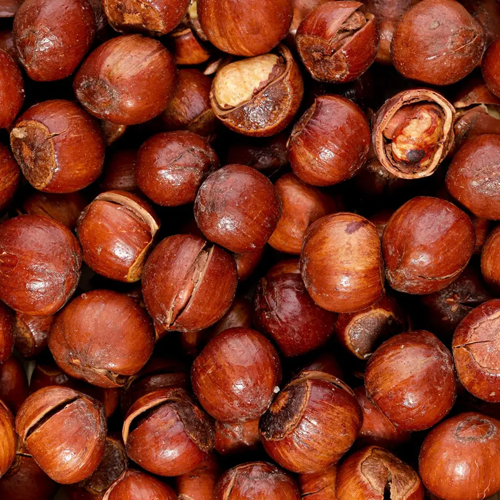 تصویر شماره 1 محصول 