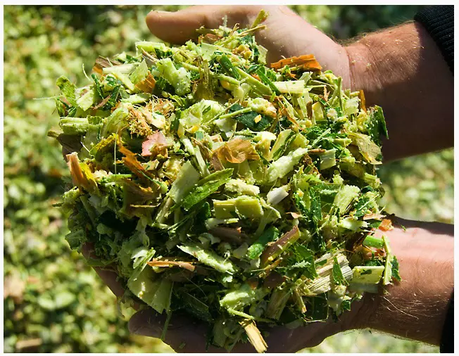 تصویر شماره 1 محصول 