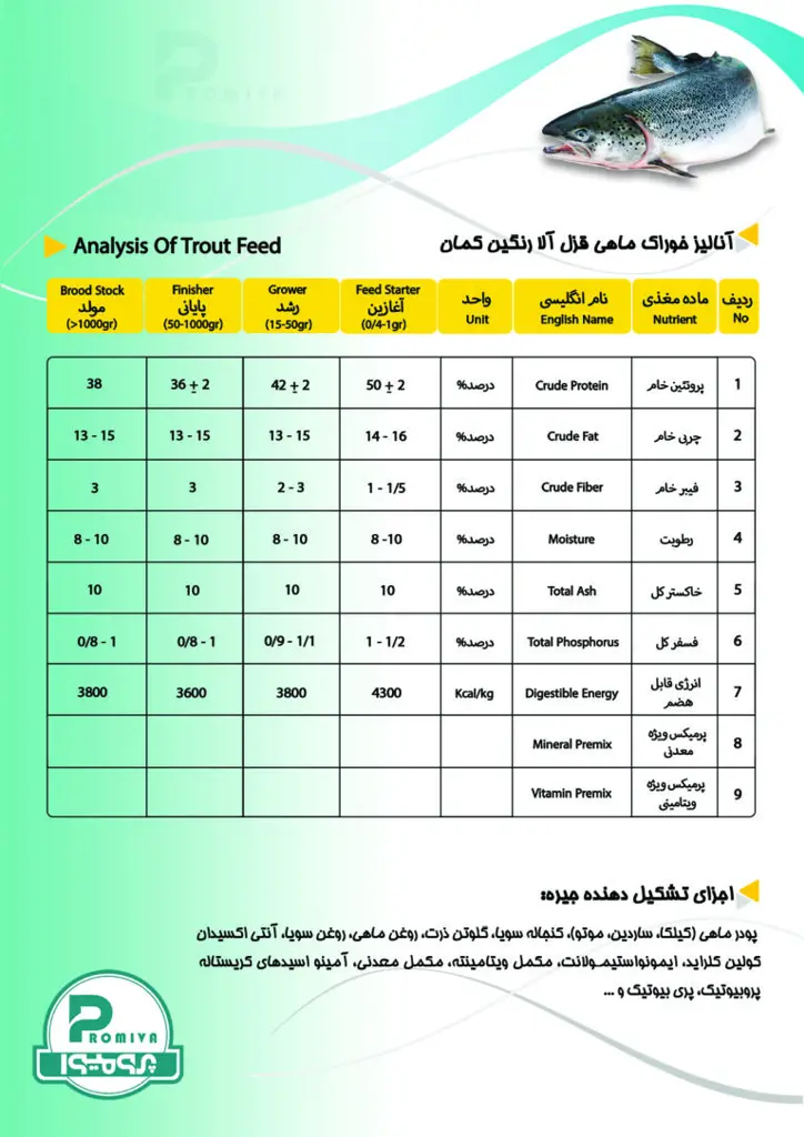 تصویر شماره 2 محصول 