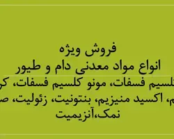 تصویر شماره 1 محصول 