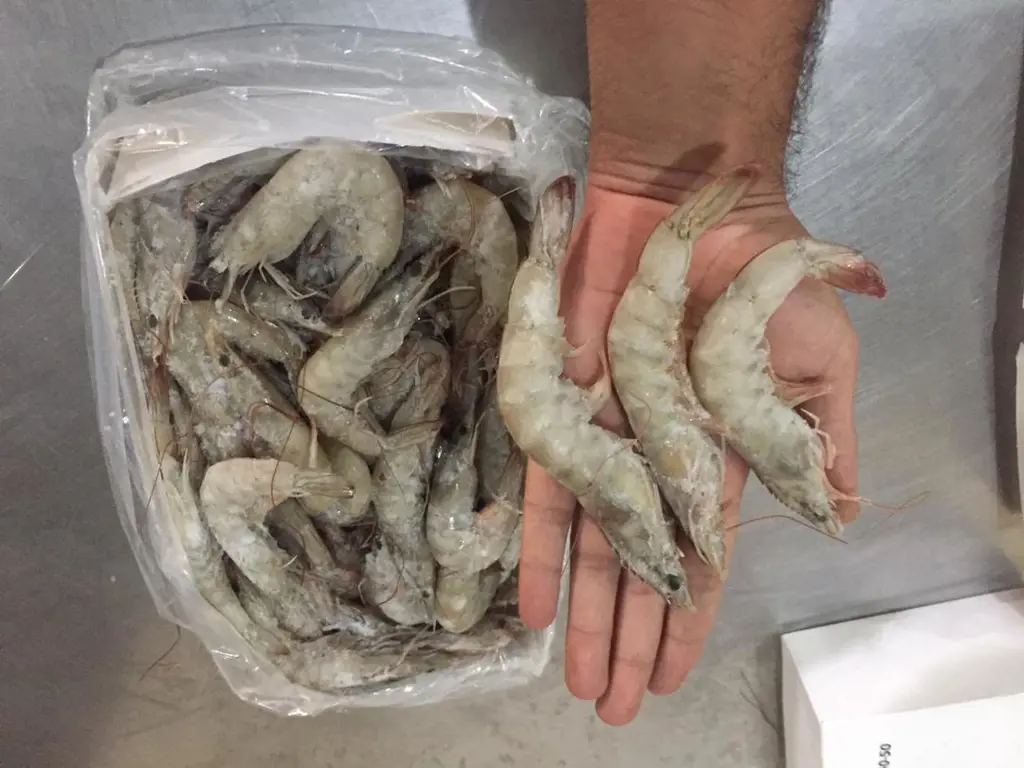 تصویر شماره 3 محصول 