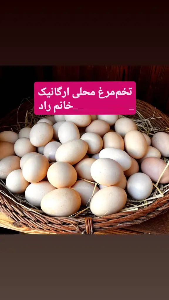 تصویر شماره 3 محصول 