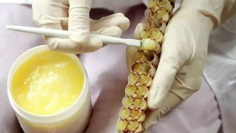 تصویر شماره 1 محصول 