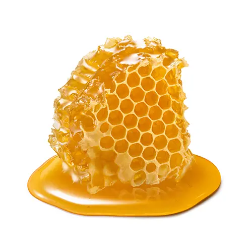 تصویر شماره 1 محصول 