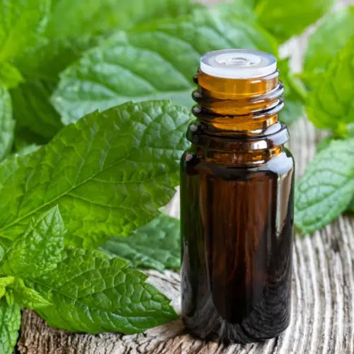 تصویر شماره 1 محصول 