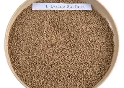 تصویر شماره 3 محصول 