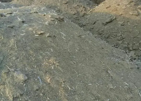تصویر شماره 3 محصول 