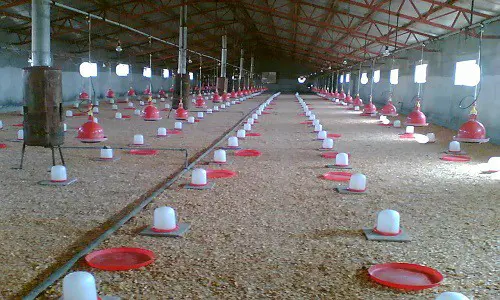 تصویر شماره 2 محصول 