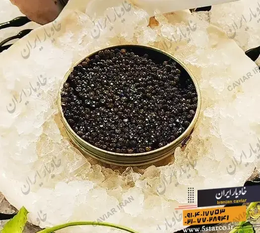 تصویر شماره 1 محصول 