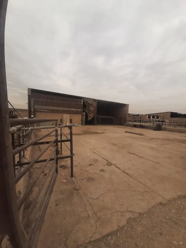 تصویر شماره 3 محصول 