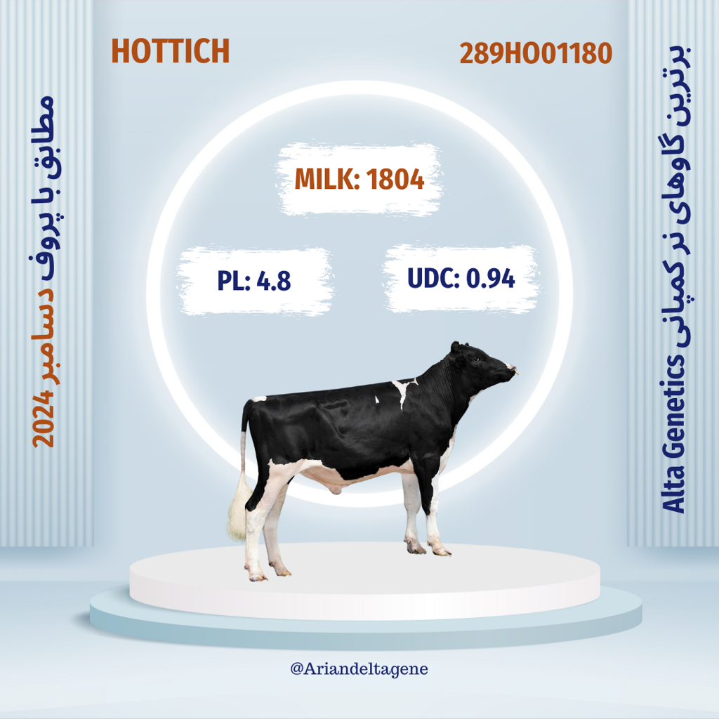 تصویر شماره 4 محصول 