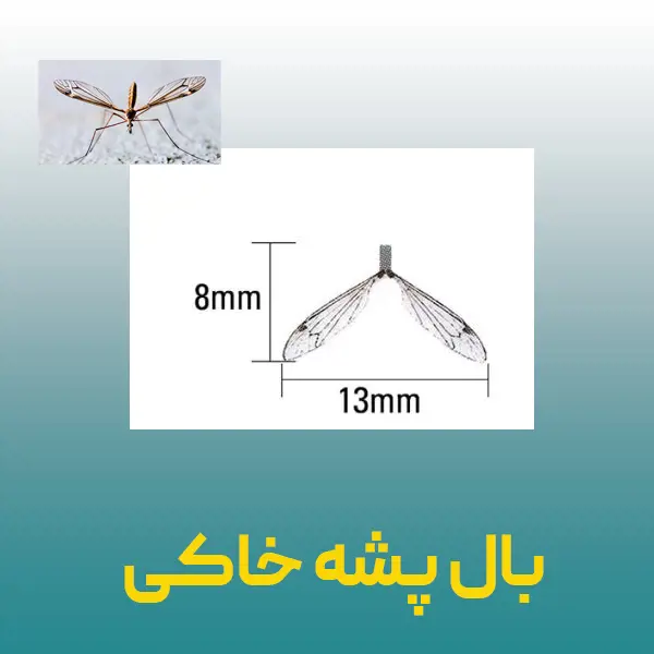 تصویر شماره 1 محصول 