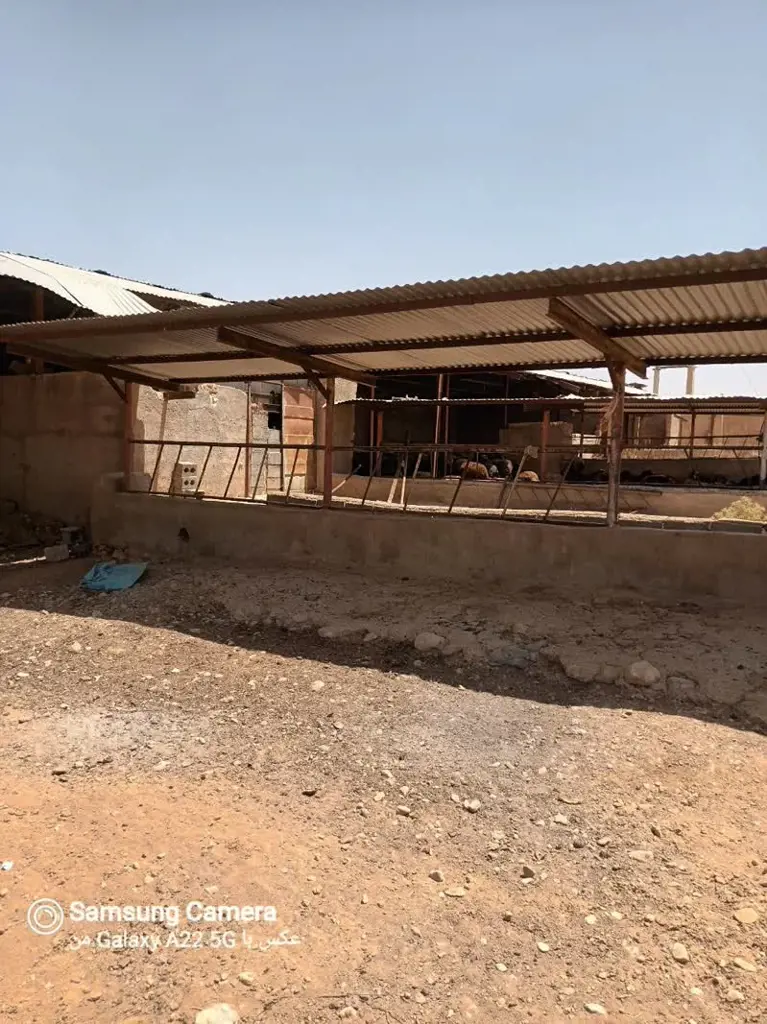 تصویر شماره 2 محصول 