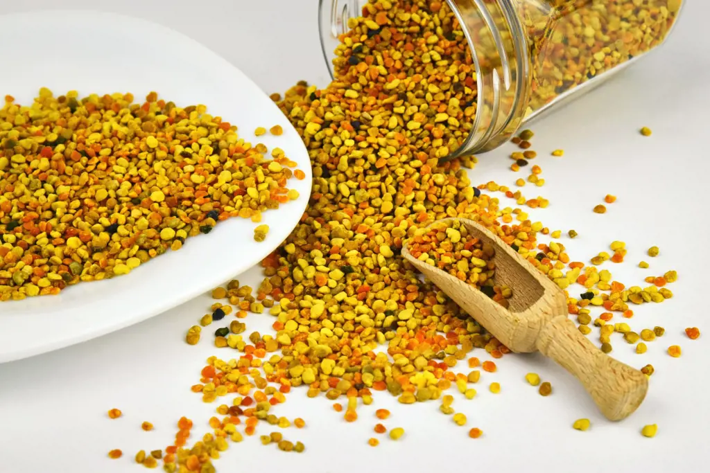 تصویر شماره 1 محصول 