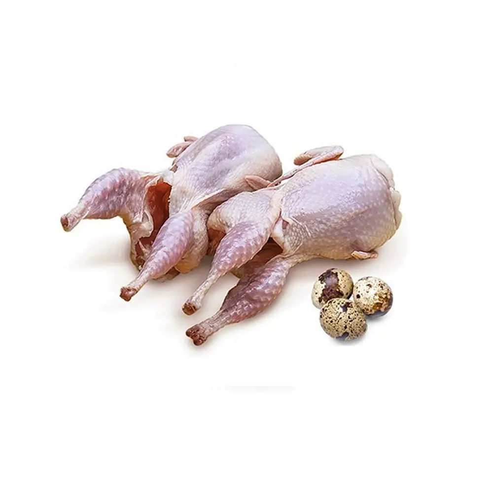 تصویر شماره 1 محصول 