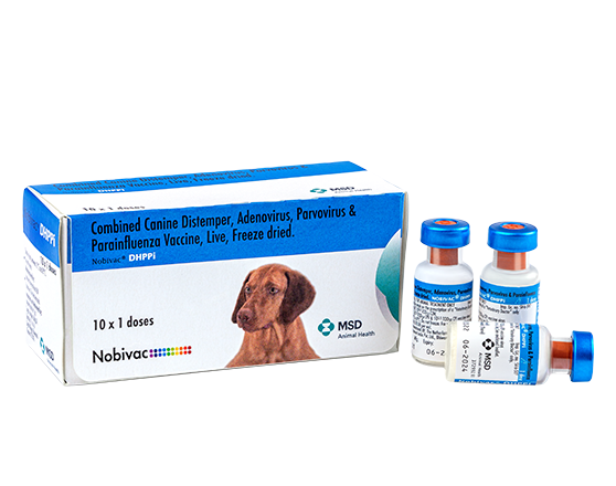 تصویر شماره 1 محصول 