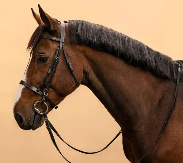 تصویر شماره 1 محصول 