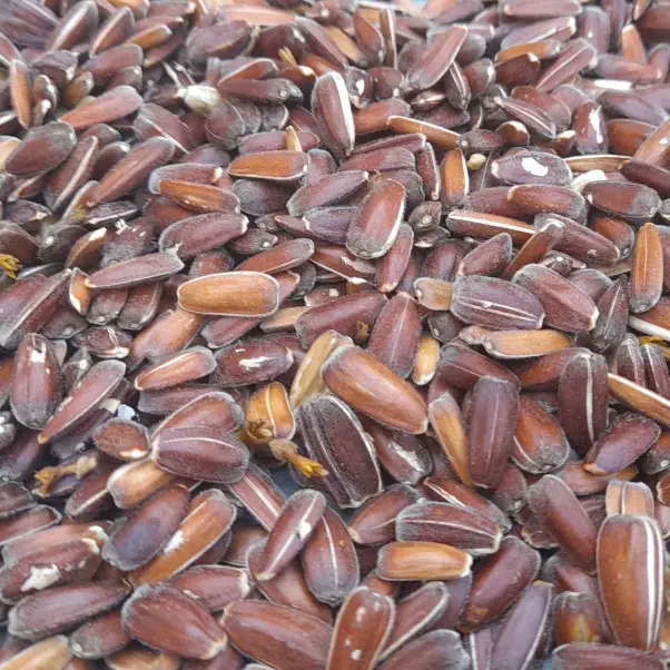 تصویر شماره 1 محصول 