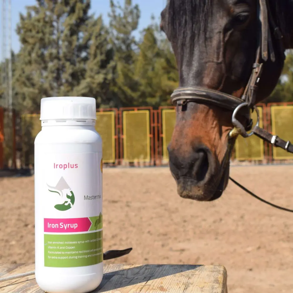 تصویر شماره 1 محصول 