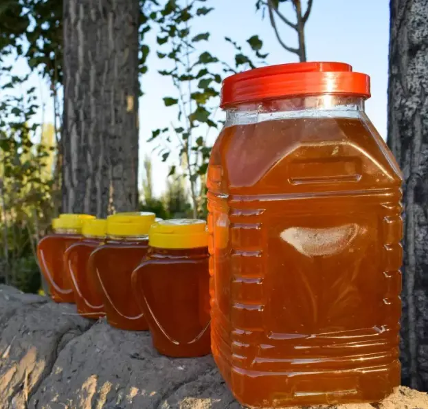 تصویر شماره 1 محصول 