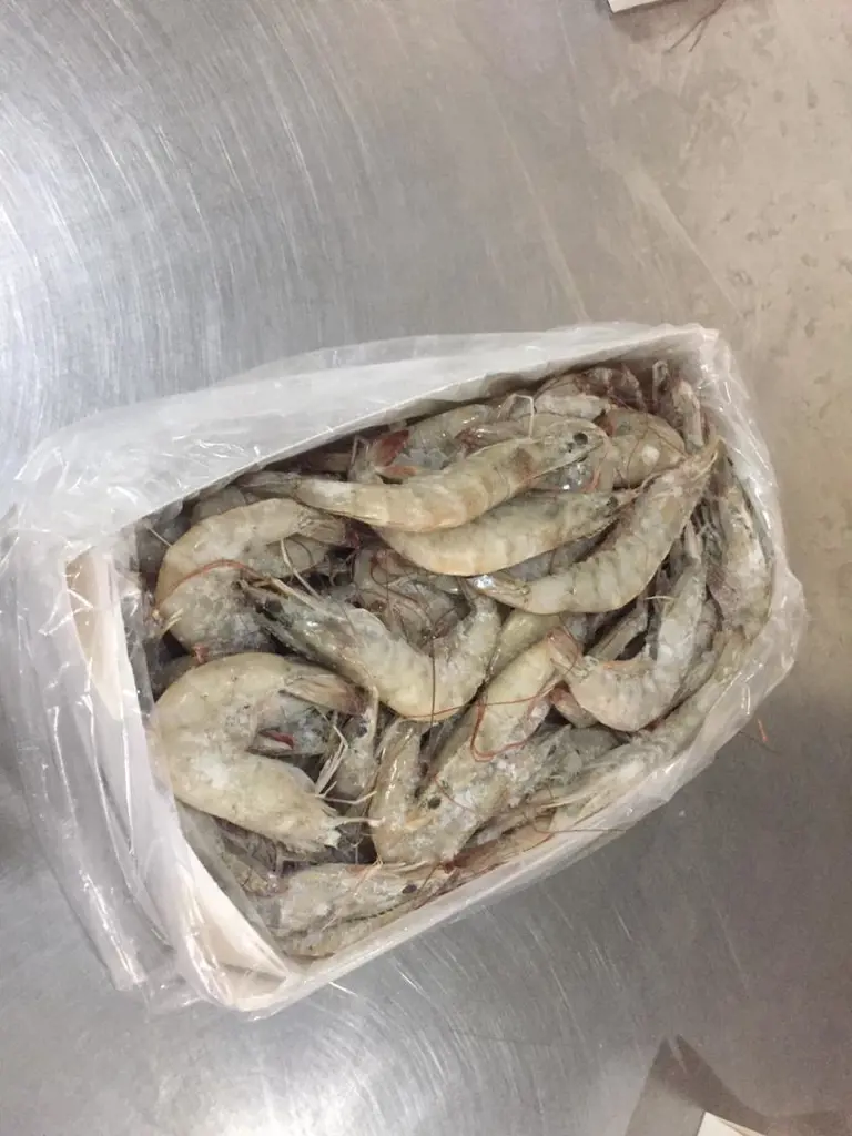 تصویر شماره 2 محصول 