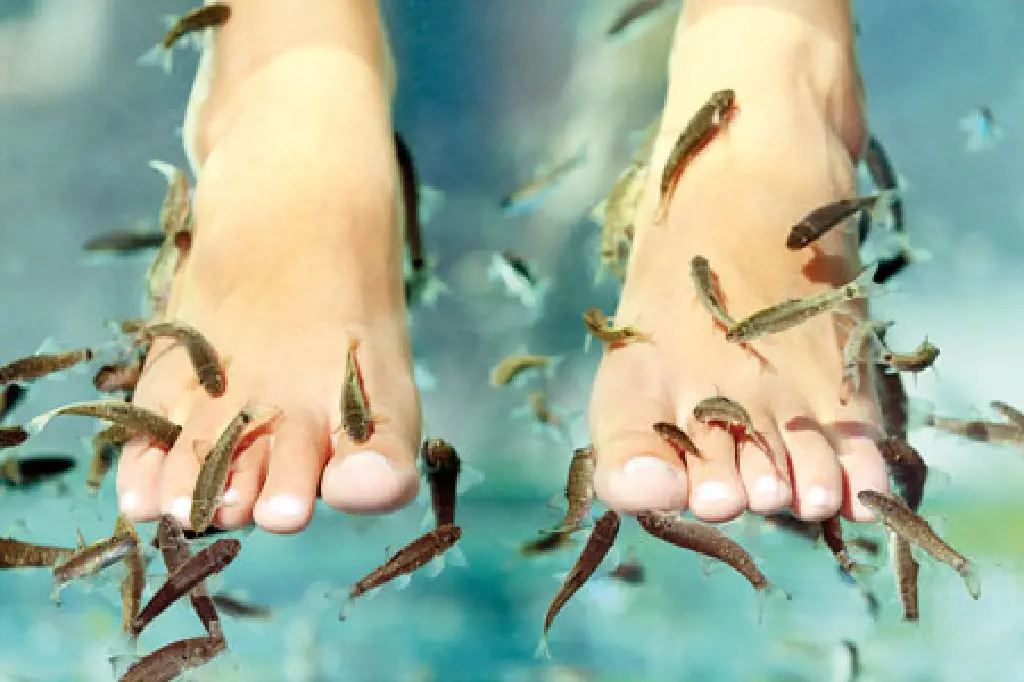 تصویر شماره 1 محصول 