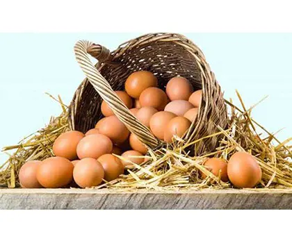 تصویر شماره 1 محصول 