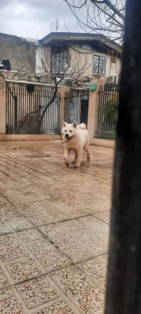 تصویر شماره 3 محصول 