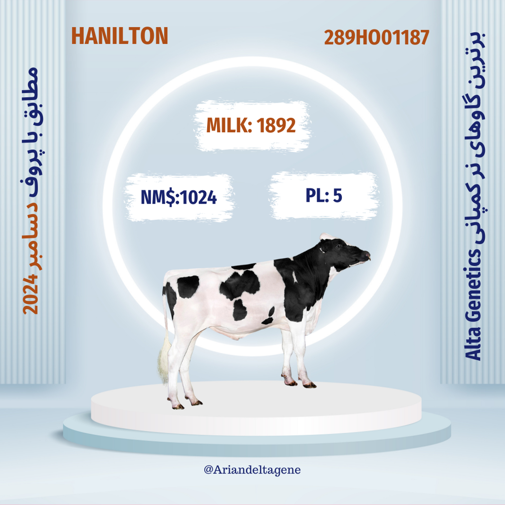 تصویر شماره 3 محصول 