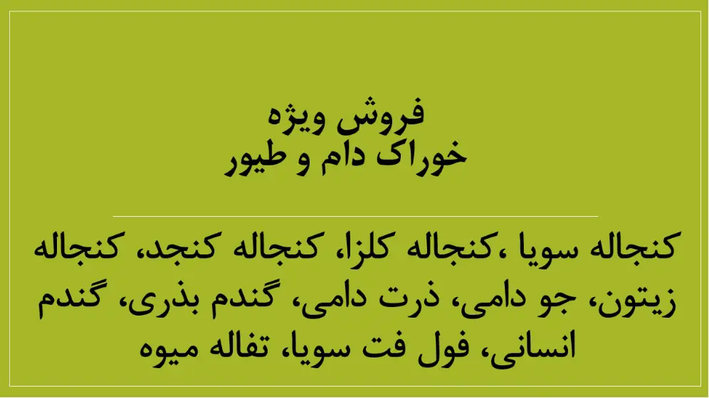 تصویر شماره 1 محصول 