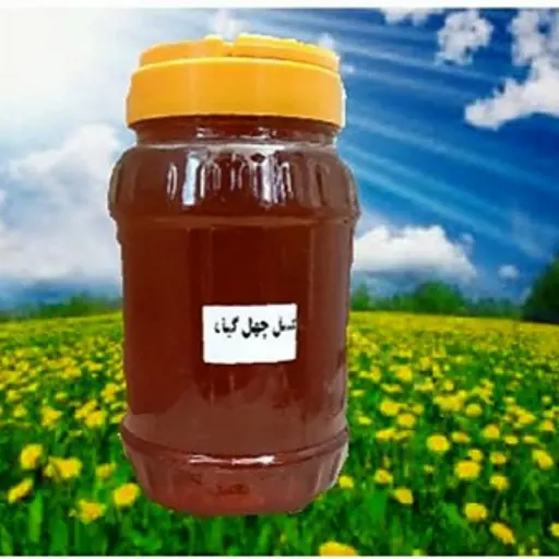 تصویر شماره 1 محصول 