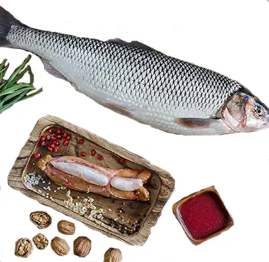 تصویر شماره 1 محصول 