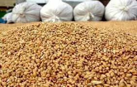 تصویر شماره 2 محصول 