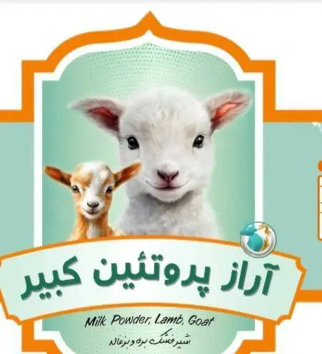 تصویر شماره 1 محصول 