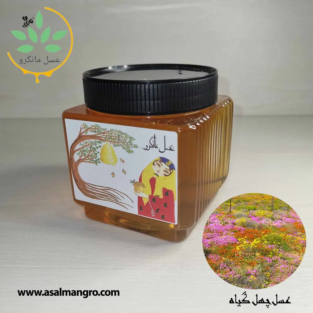 تصویر شماره 1 محصول 