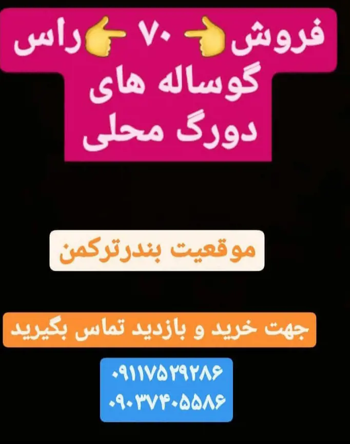 تصویر شماره 1 محصول 