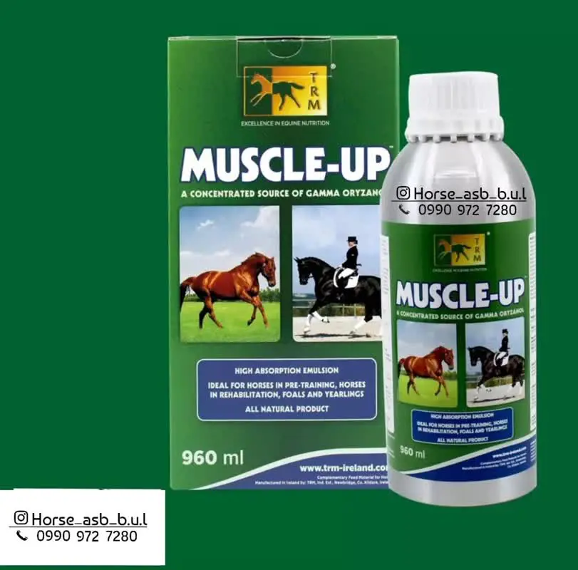 تصویر شماره 1 محصول 