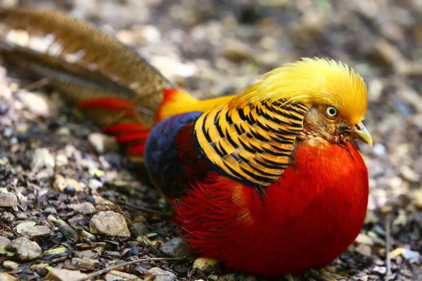 تصویر شماره 1 محصول 