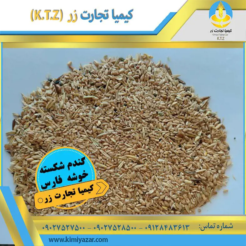 تصویر شماره 1 محصول 