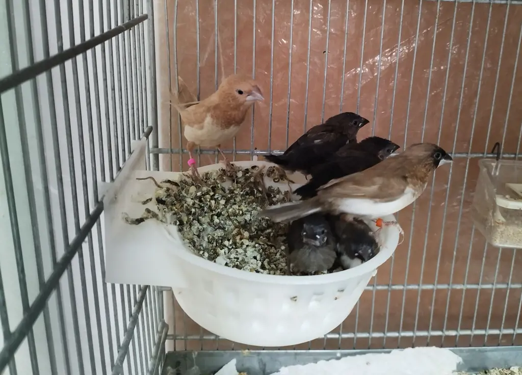 تصویر شماره 3 محصول 