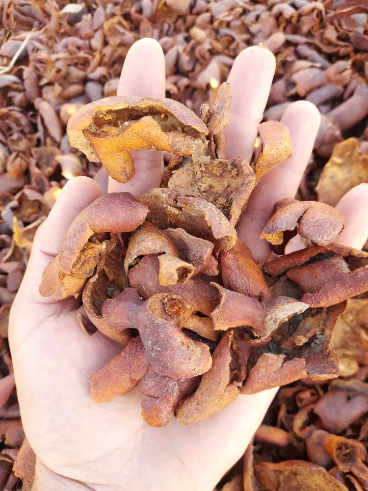 تصویر شماره 1 محصول 