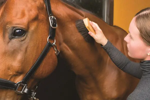 تصویر شماره 2 محصول 