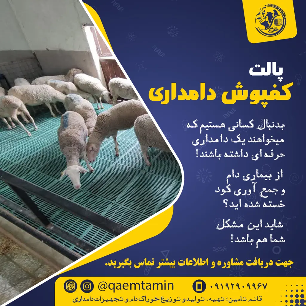 تصویر شماره 1 محصول 